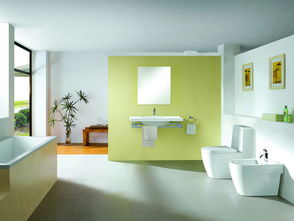 2013年十大衛(wèi)浴品牌排名與衛(wèi)浴潔具選購(gòu)指南